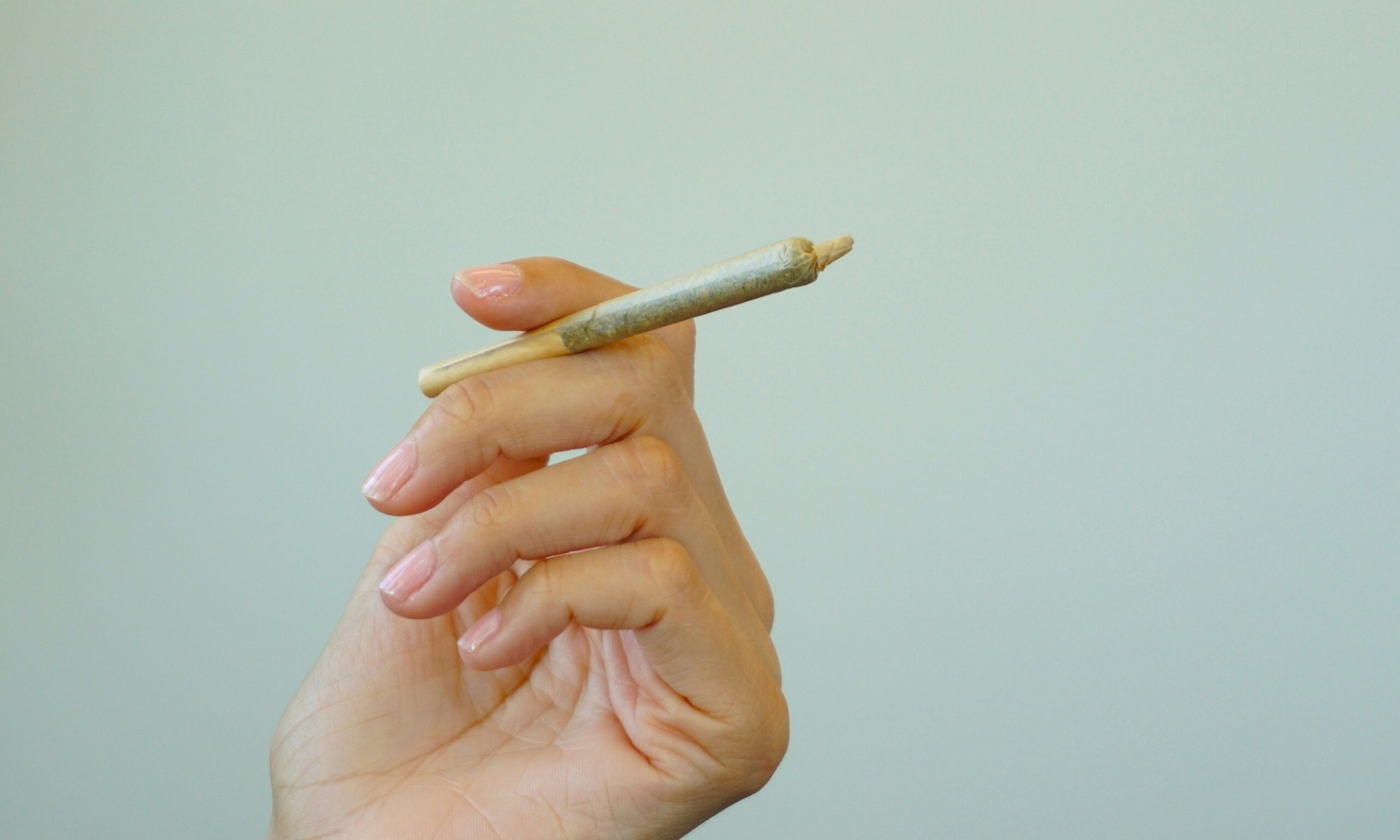 Examine Examines Marijuana Results on Plastic Surgical procedure Outcomes